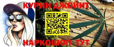 сатива Шебекино