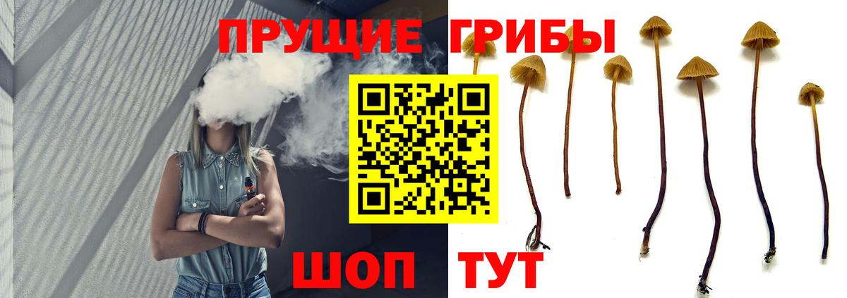 Псилоцибиновые грибы MAGIC MUSHROOMS  Вход с VPN  Белебей 